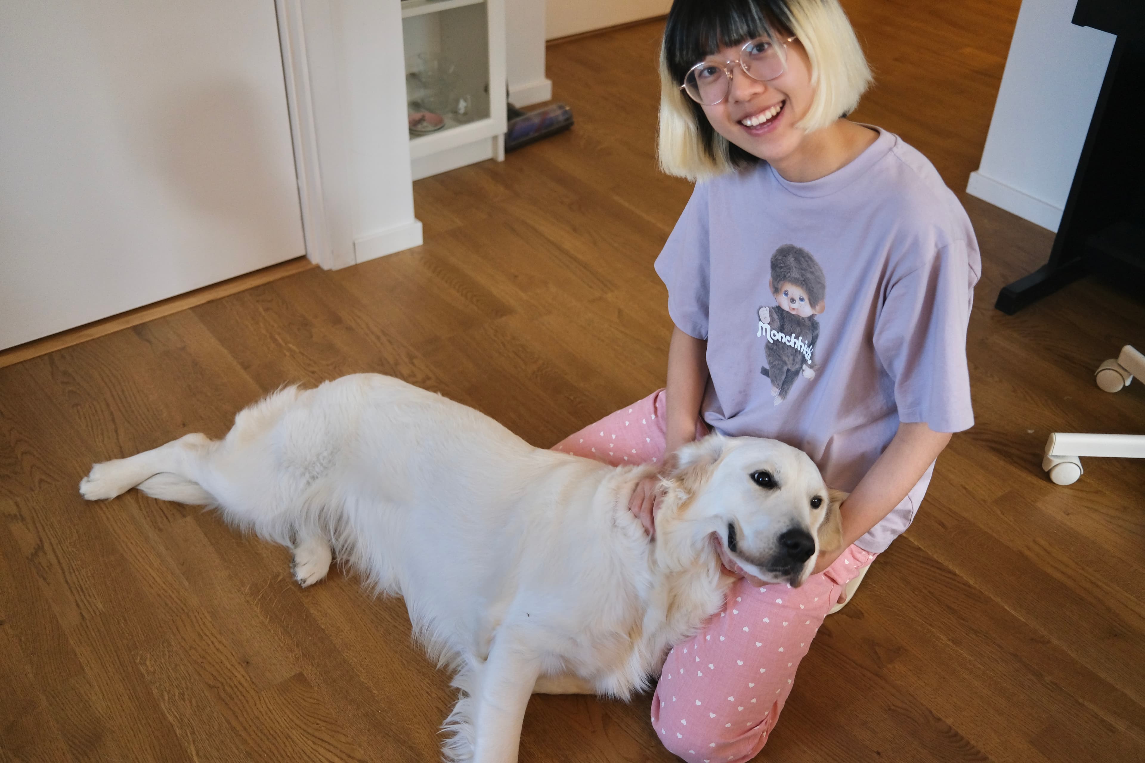 Zoe calmly interacting with a Golden Retriever in a home environment