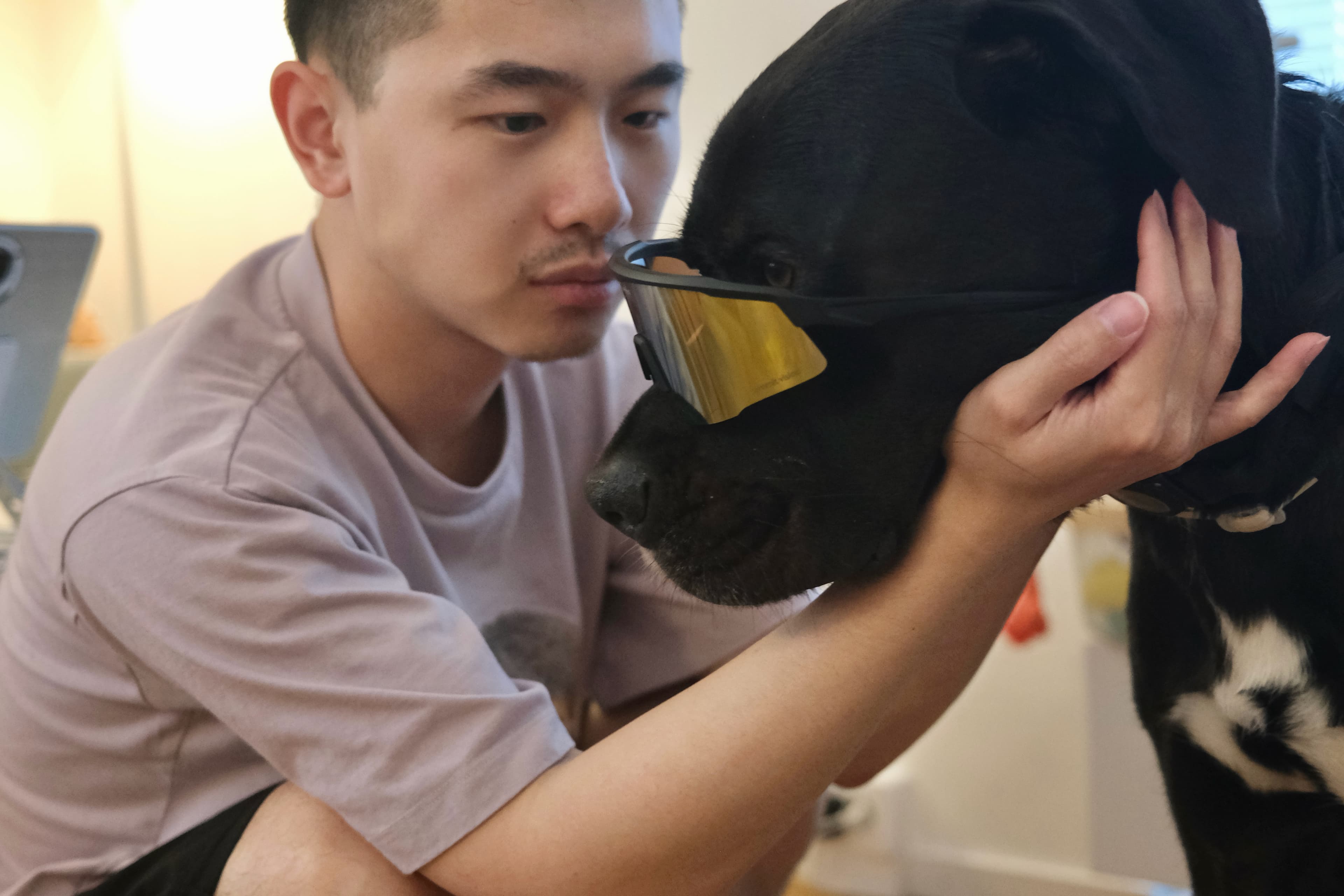 Evan gently supporting a black dog during a calm indoor moment