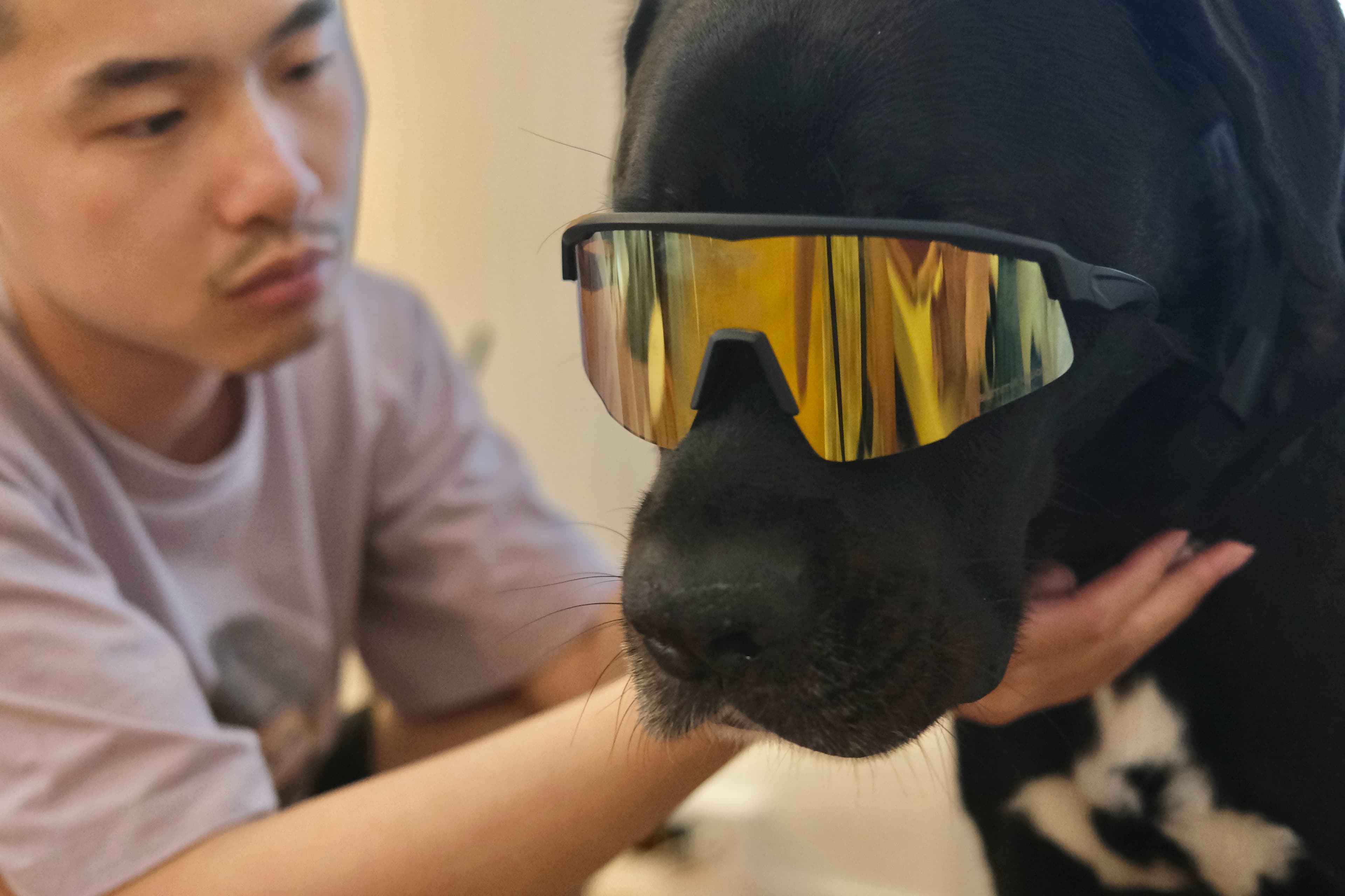Evan calmly holding a black dog wearing sunglasses