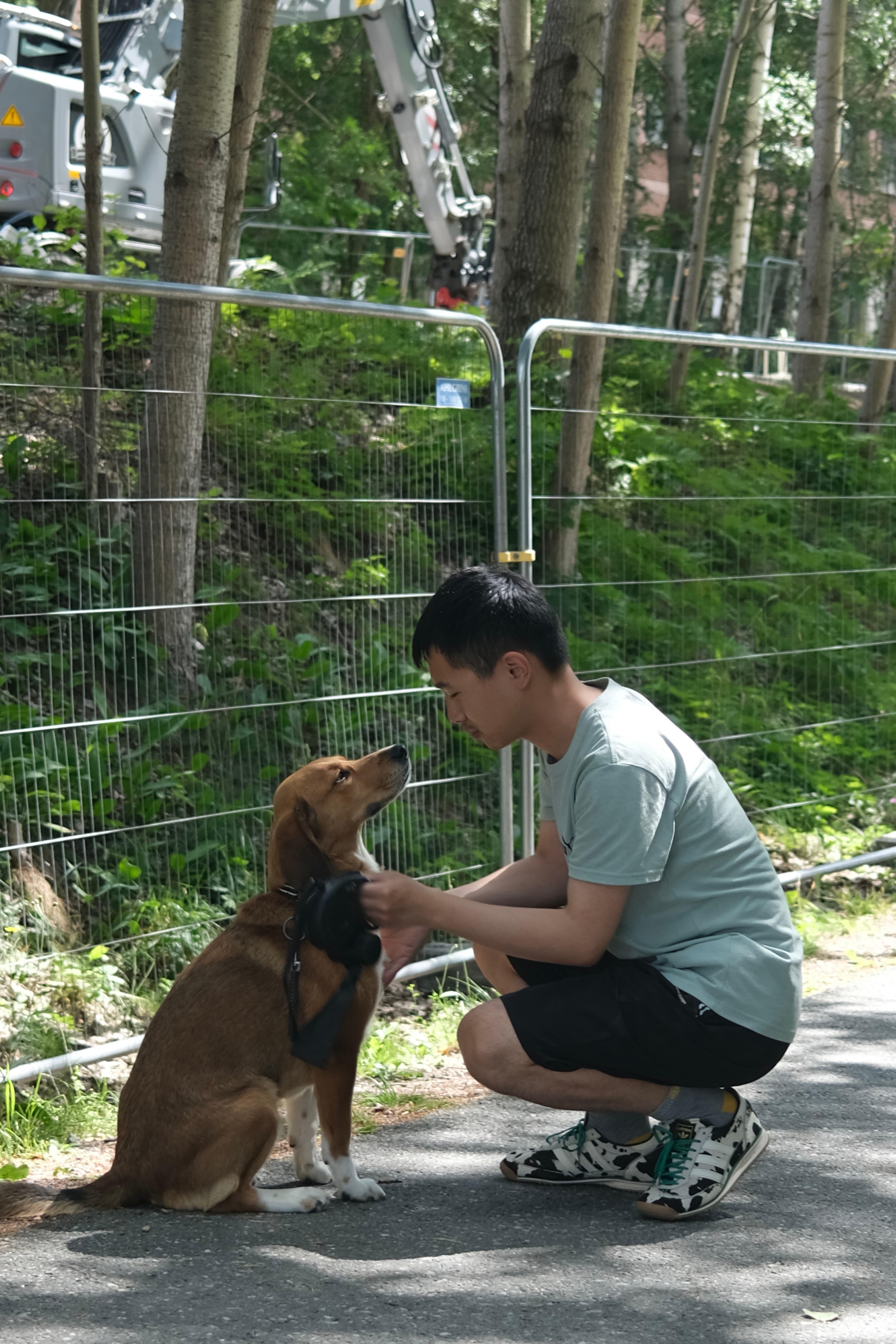 Evan calmly interacting with a dog during outdoor training