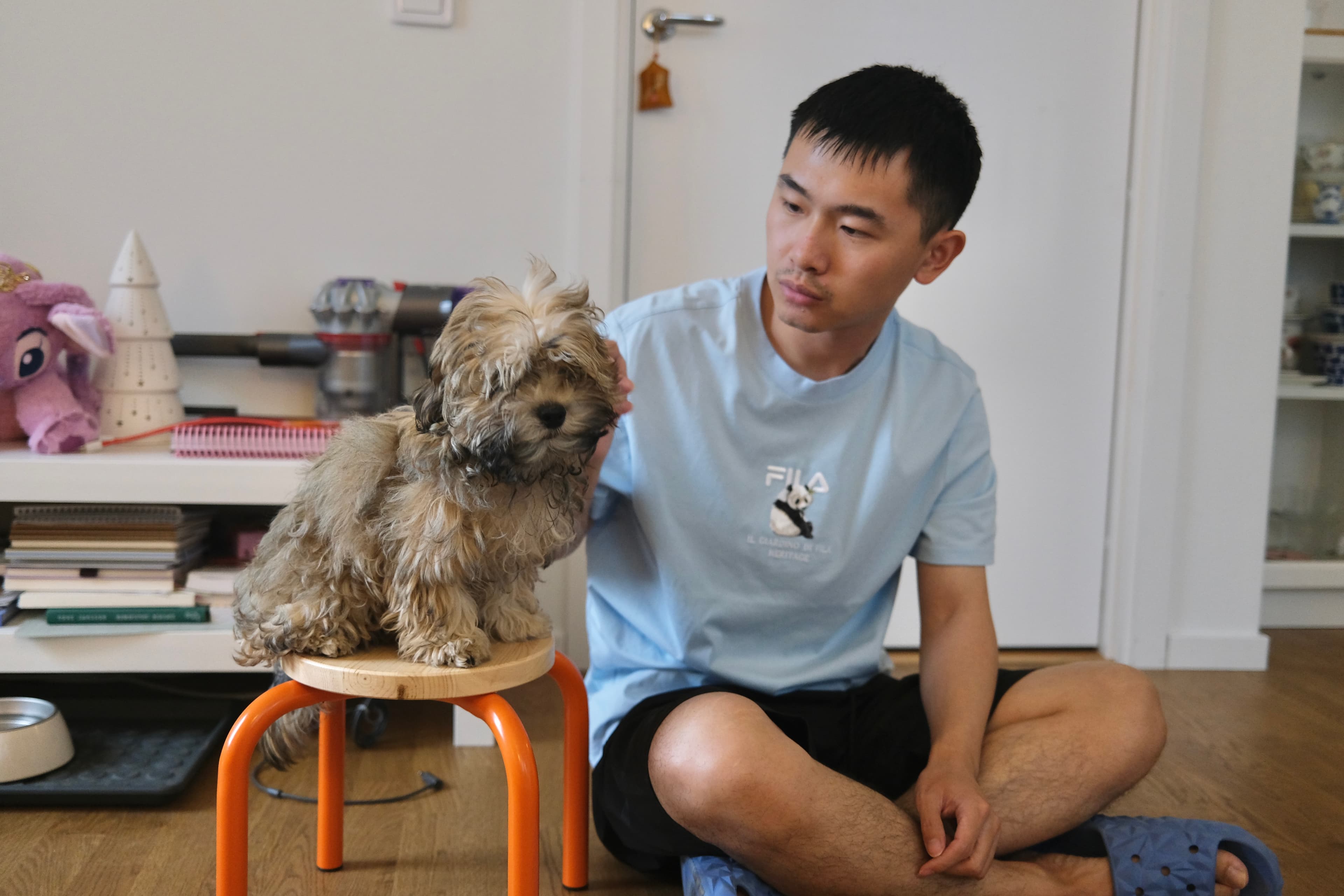Evan calmly guiding a puppy sitting on a small chair